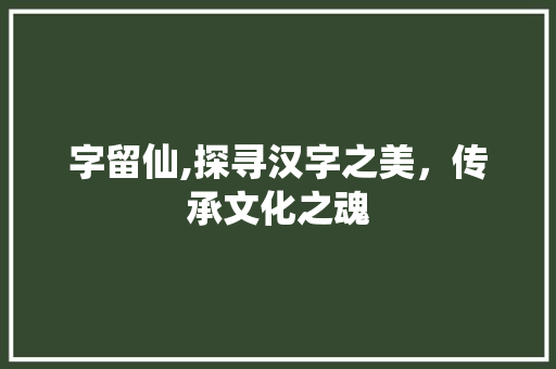 字留仙,探寻汉字之美，传承文化之魂