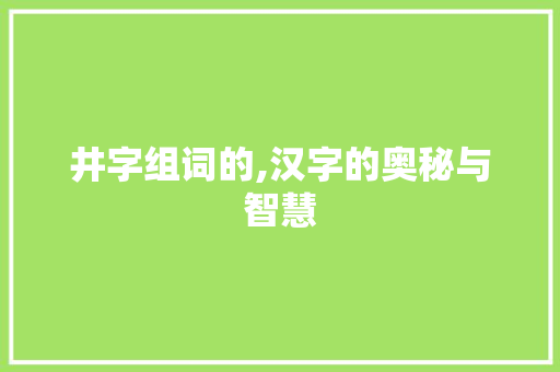 井字组词的,汉字的奥秘与智慧