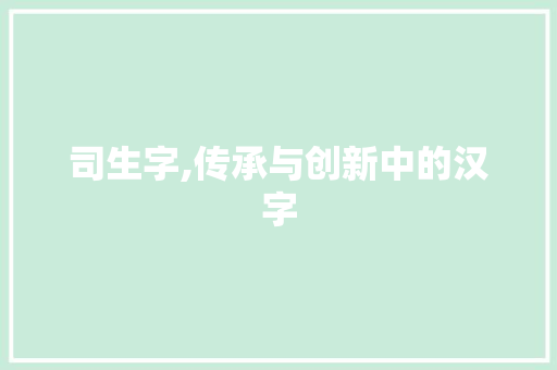 司生字,传承与创新中的汉字