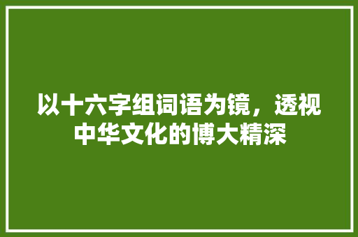 以十六字组词语为镜，透视中华文化的博大精深