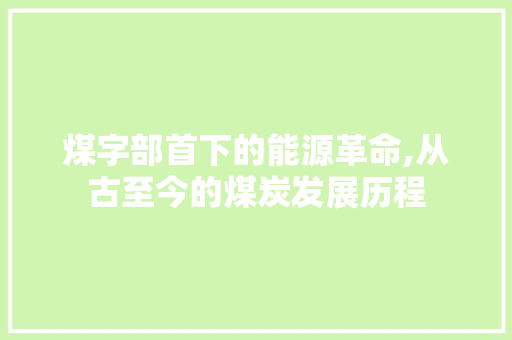 煤字部首下的能源革命,从古至今的煤炭发展历程