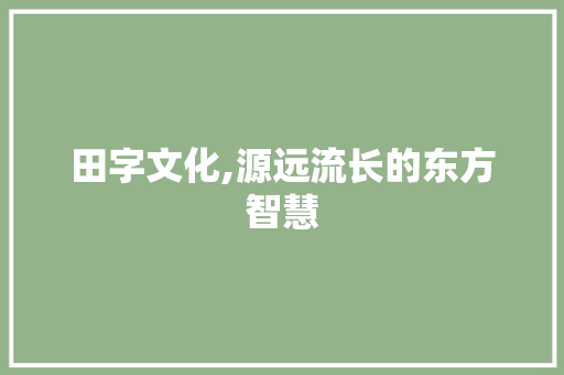 田字文化,源远流长的东方智慧