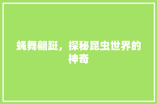 蝇舞翩跹，探秘昆虫世界的神奇  第1张