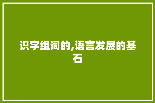 识字组词的,语言发展的基石