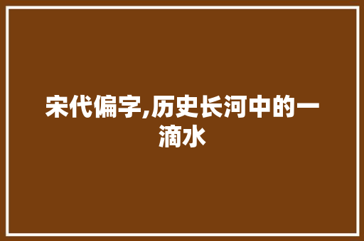宋代偏字,历史长河中的一滴水