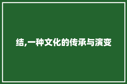 结,一种文化的传承与演变
