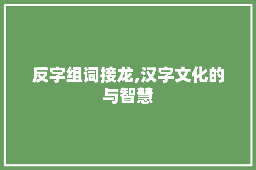 反字组词接龙,汉字文化的与智慧