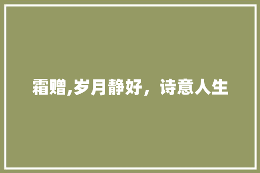 霜赠,岁月静好，诗意人生