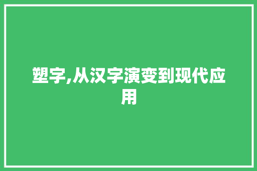塑字,从汉字演变到现代应用