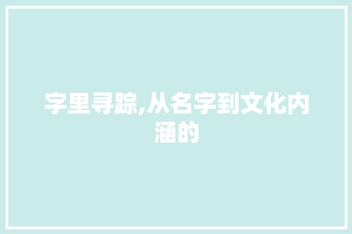 字里寻踪,从名字到文化内涵的