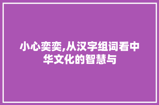 小心奕奕,从汉字组词看中华文化的智慧与 第1张 小心奕奕,从汉字组词看中华文化的智慧与 第1张