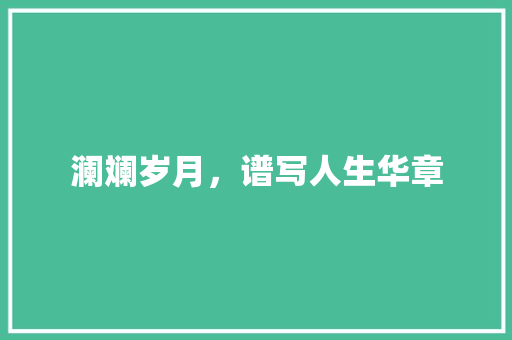 澜斓岁月，谱写人生华章