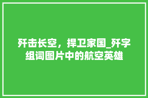 歼击长空，捍卫家国_歼字组词图片中的航空英雄