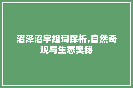 沼泽沼字组词探析,自然奇观与生态奥秘