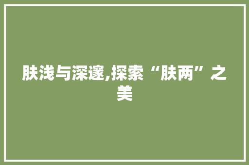 肤浅与深邃,探索“肤两”之美