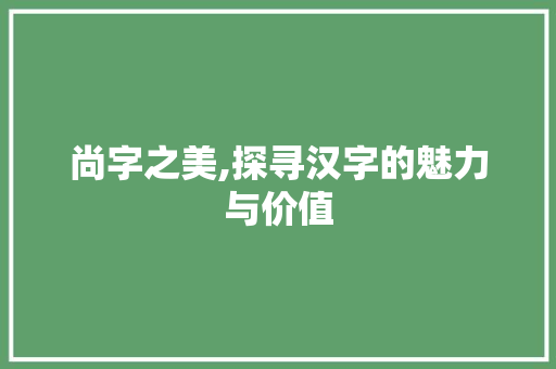 尚字之美,探寻汉字的魅力与价值