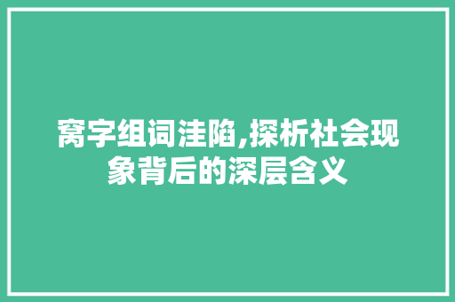 窝字组词洼陷,探析社会现象背后的深层含义