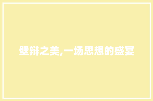 壁辩之美,一场思想的盛宴