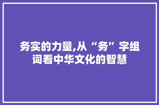 务实的力量,从“务”字组词看中华文化的智慧