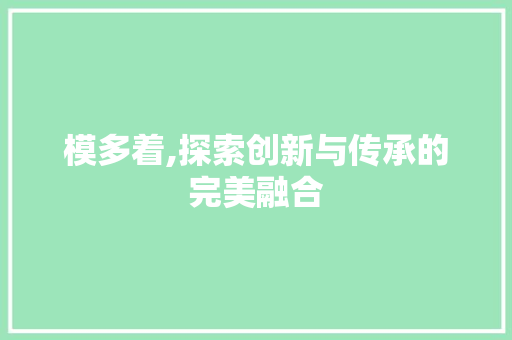 模多着,探索创新与传承的完美融合