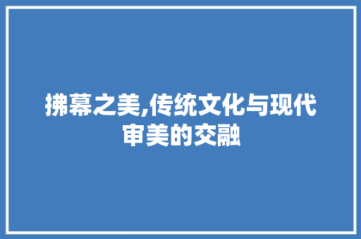 拂幕之美,传统文化与现代审美的交融