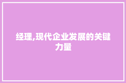经理,现代企业发展的关键力量  第1张