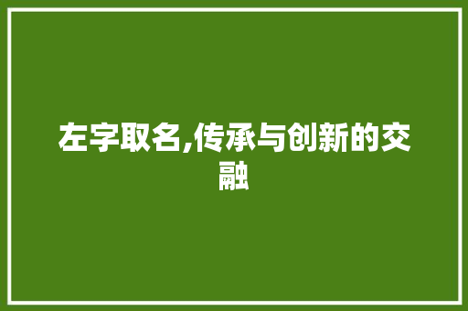 左字取名,传承与创新的交融