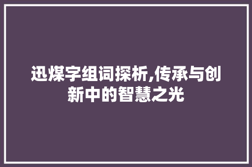 迅煤字组词探析,传承与创新中的智慧之光  第1张