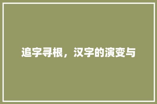 追字寻根，汉字的演变与