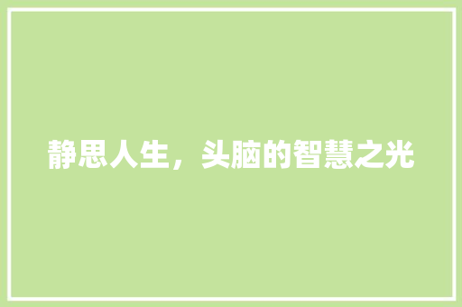 静思人生，头脑的智慧之光