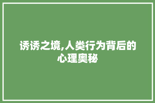 诱诱之境,人类行为背后的心理奥秘