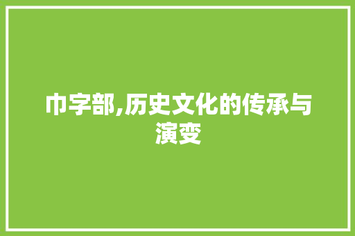 巾字部,历史文化的传承与演变