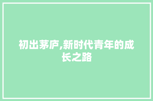 初出茅庐,新时代青年的成长之路