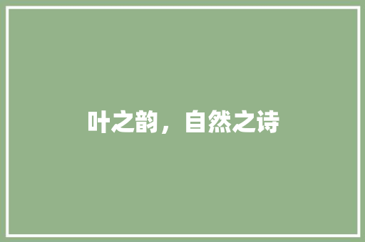 叶之韵，自然之诗