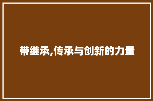 带继承,传承与创新的力量