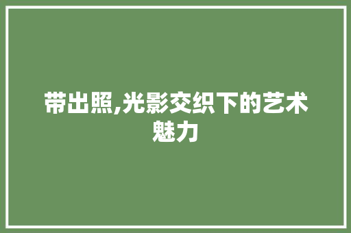带出照,光影交织下的艺术魅力