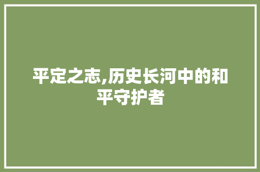 平定之志,历史长河中的和平守护者