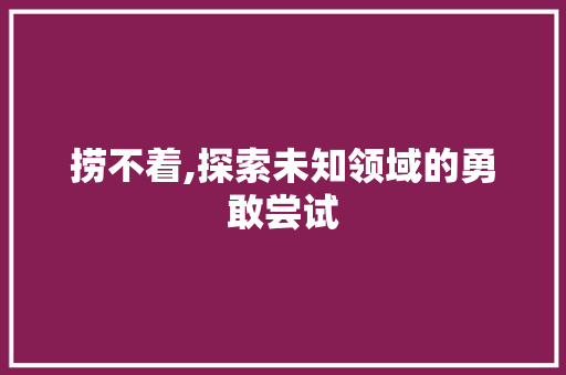 捞不着,探索未知领域的勇敢尝试