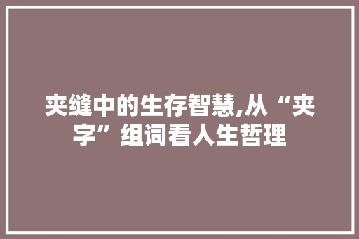 夹缝中的生存智慧,从“夹字”组词看人生哲理