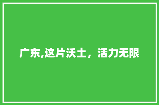 广东,这片沃土，活力无限