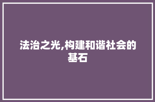 法治之光,构建和谐社会的基石