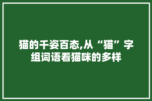猫的千姿百态,从“猫”字组词语看猫咪的多样