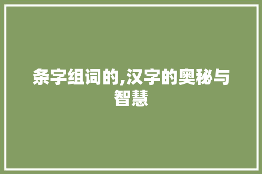条字组词的,汉字的奥秘与智慧