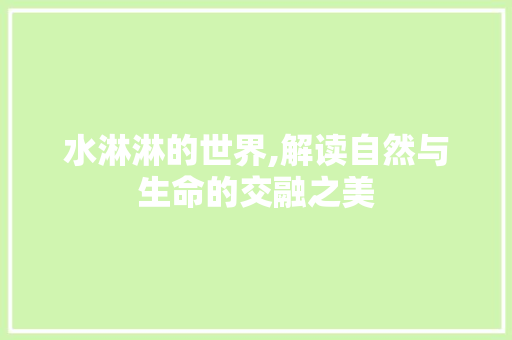 水淋淋的世界,解读自然与生命的交融之美