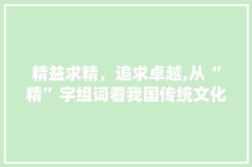 精益求精，追求卓越,从“精”字组词看我国传统文化中的精神追求