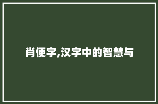 肖便字,汉字中的智慧与