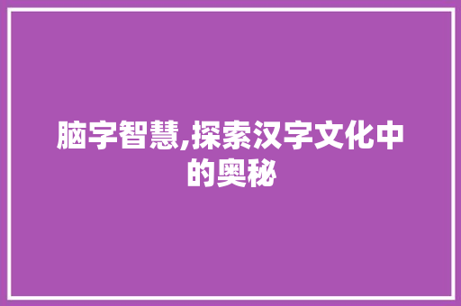 脑字智慧,探索汉字文化中的奥秘