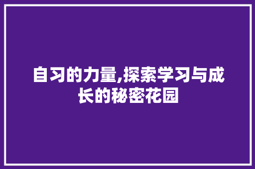 自习的力量,探索学习与成长的秘密花园