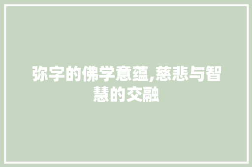 弥字的佛学意蕴,慈悲与智慧的交融