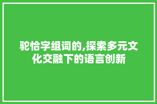 驼恰字组词的,探索多元文化交融下的语言创新
